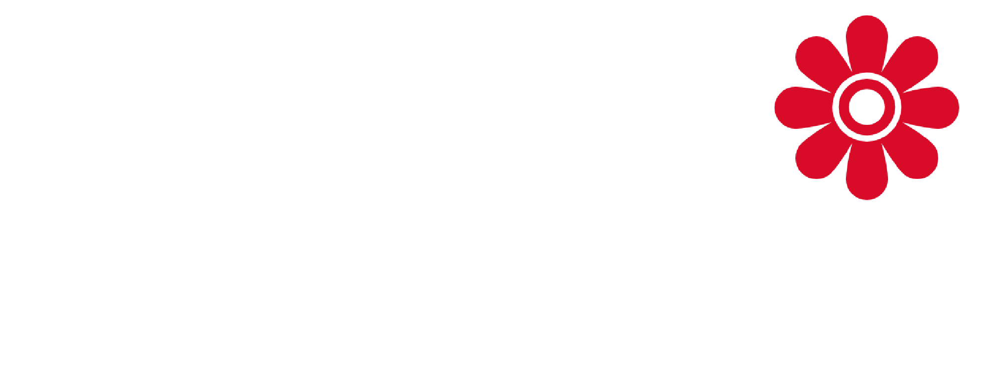 Ibiza Rentals
